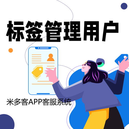 APP客服系統核心功能解析 全方位賦能信息系統運行維護服務